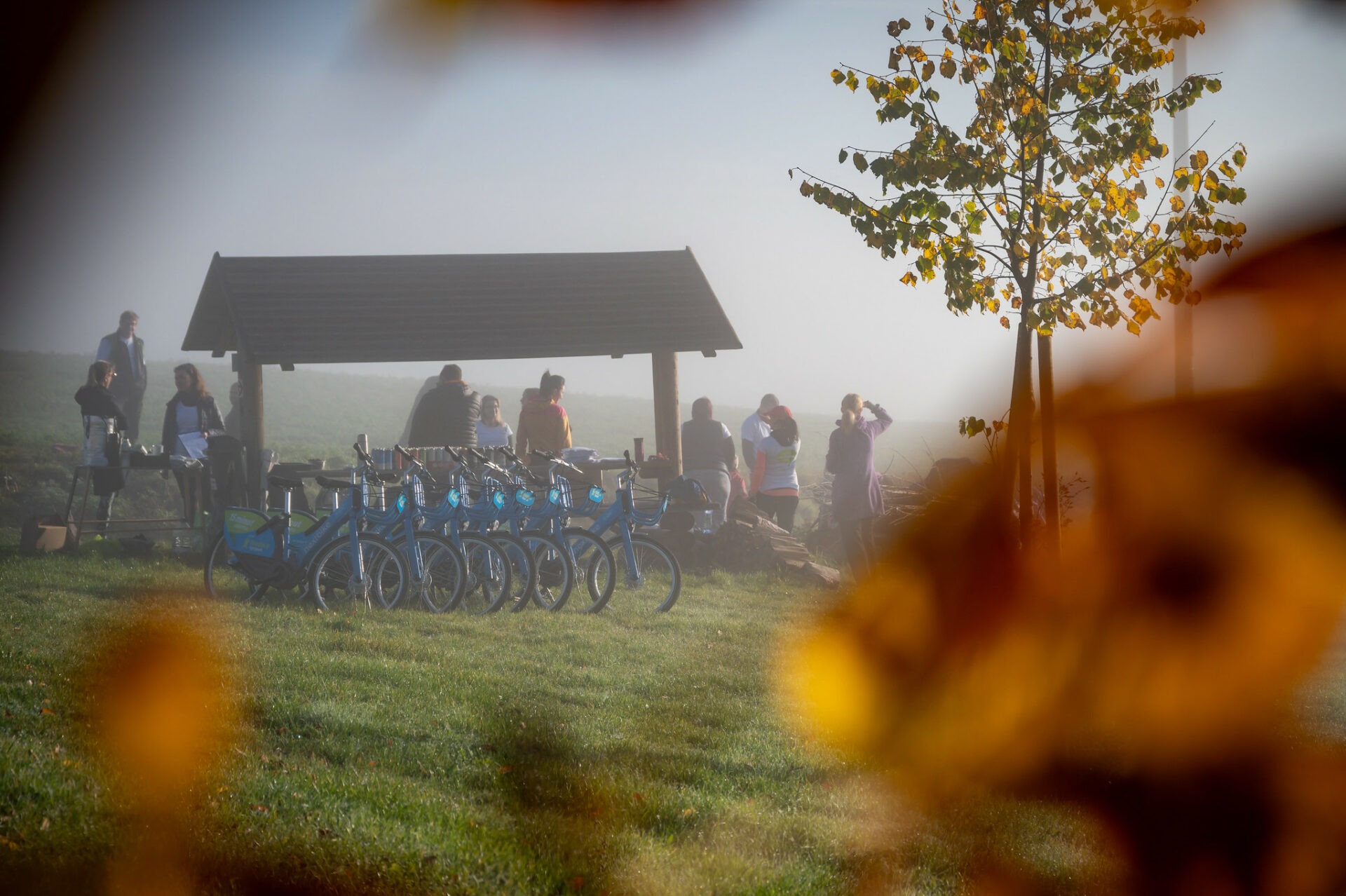 Nextbiky pomáhaly sázet stromy Nadaci Tipsport — Nextbike Czech 52462569275 bc98712f6f k 1